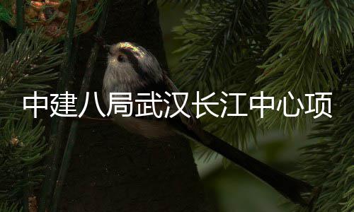 八局大会项目武汉中建中心举行长江誓师千人